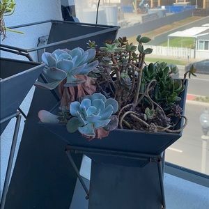 Meet your Posher, Skyler